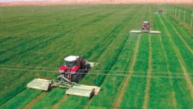 IMG 20260811 WA0001