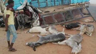 وفاة ثلاثه أشخاص وأصابتان ونفوق سبعه حمير في حادث بعطبرة.. 18 IMG 20260816 WA0001