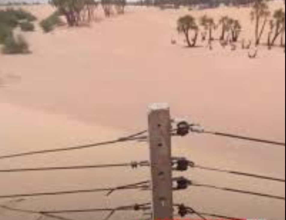إتفاق مثمر بين السودان والمركز الصيني العربي لبحوث التصحر لتنفيذ مشاريع مهمة 11 Screenshot ٢٠٢٦٠٨٢٢ ١١٤١١٠ Google