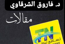 د. فاروق الشرقاوي: السناهير .. حكاية نسب شريف من الحجاز ومصر إلى السودان 12 WA 1787088930936