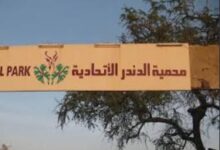 السودان يحقق نجاحا كبيرا بإستعادة حيوان مهم عقب ترحيله إلى بلد عربي 14 WA 1788176652619