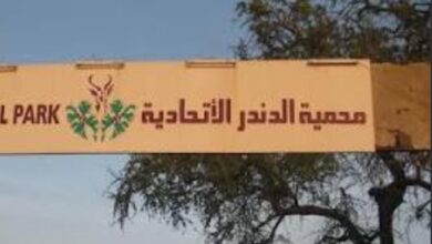 السودان يحقق نجاحا كبيرا بإستعادة حيوان مهم عقب ترحيله إلى بلد عربي 6 WA 1788176652619