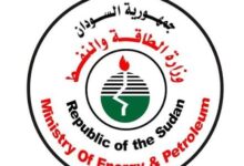 وزارة الطاقة تبشر بشأن معدات صيانة سد مروي 13 images 13