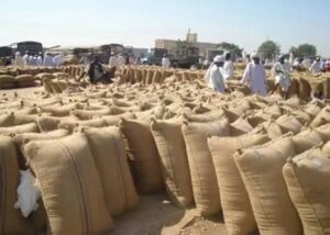 يا خبر.. منظمة أممية تستبدل الحصص الغذائية بمبالغ مالية للنازحين 12 يا خبر.. منظمة أممية تستبدل الحصص الغذائية بمبالغ مالية للنازحين
