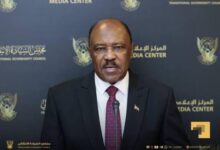 وزير الخارجية يكشف عن خطط لحماية البحر الأحمر! 13 images 58 2