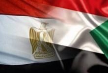 مصر تدخل في اتفاق مع السودان لتأهيل خزان مهم 12 images 72