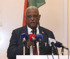 خبير عسكري: أوكرانيا السوق السوداء للأسلحة ومرتزقة الدعم السريع
